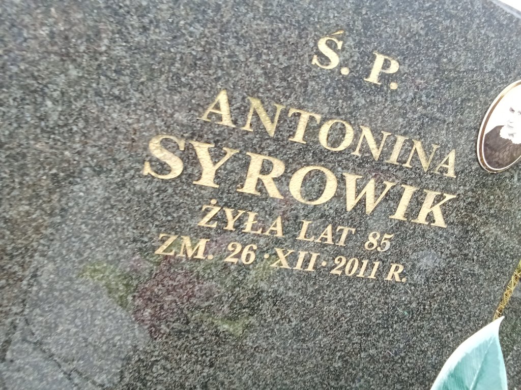 Zdjęcie grobu