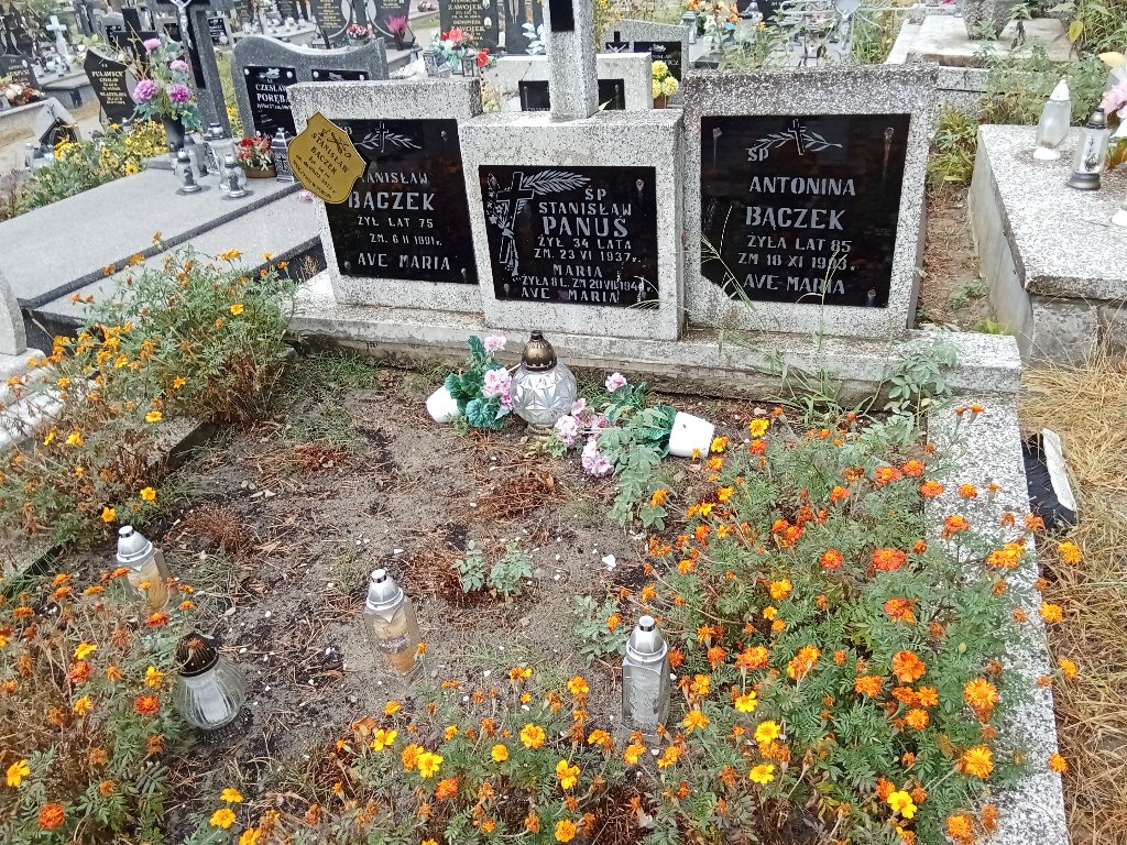 Grób Maria Panuś 